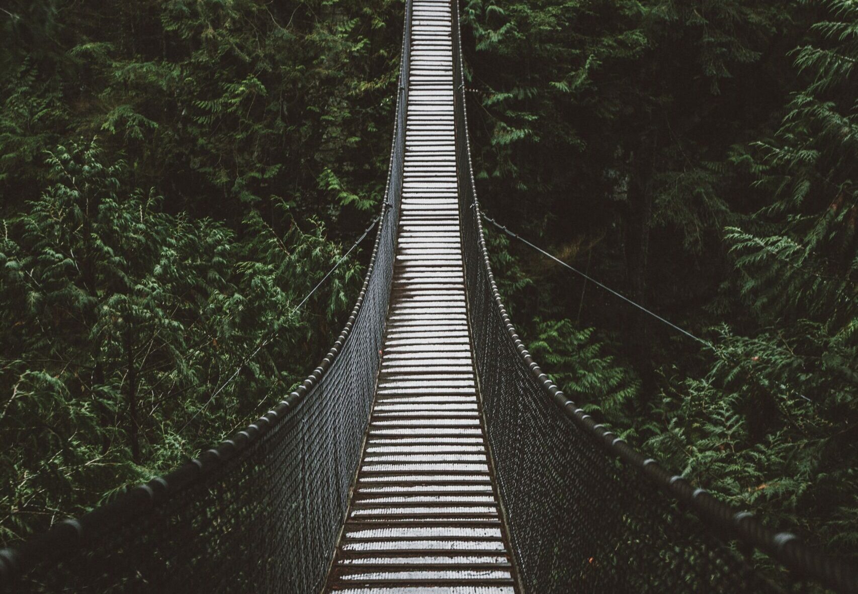 Seigneur, nous venons vers toi