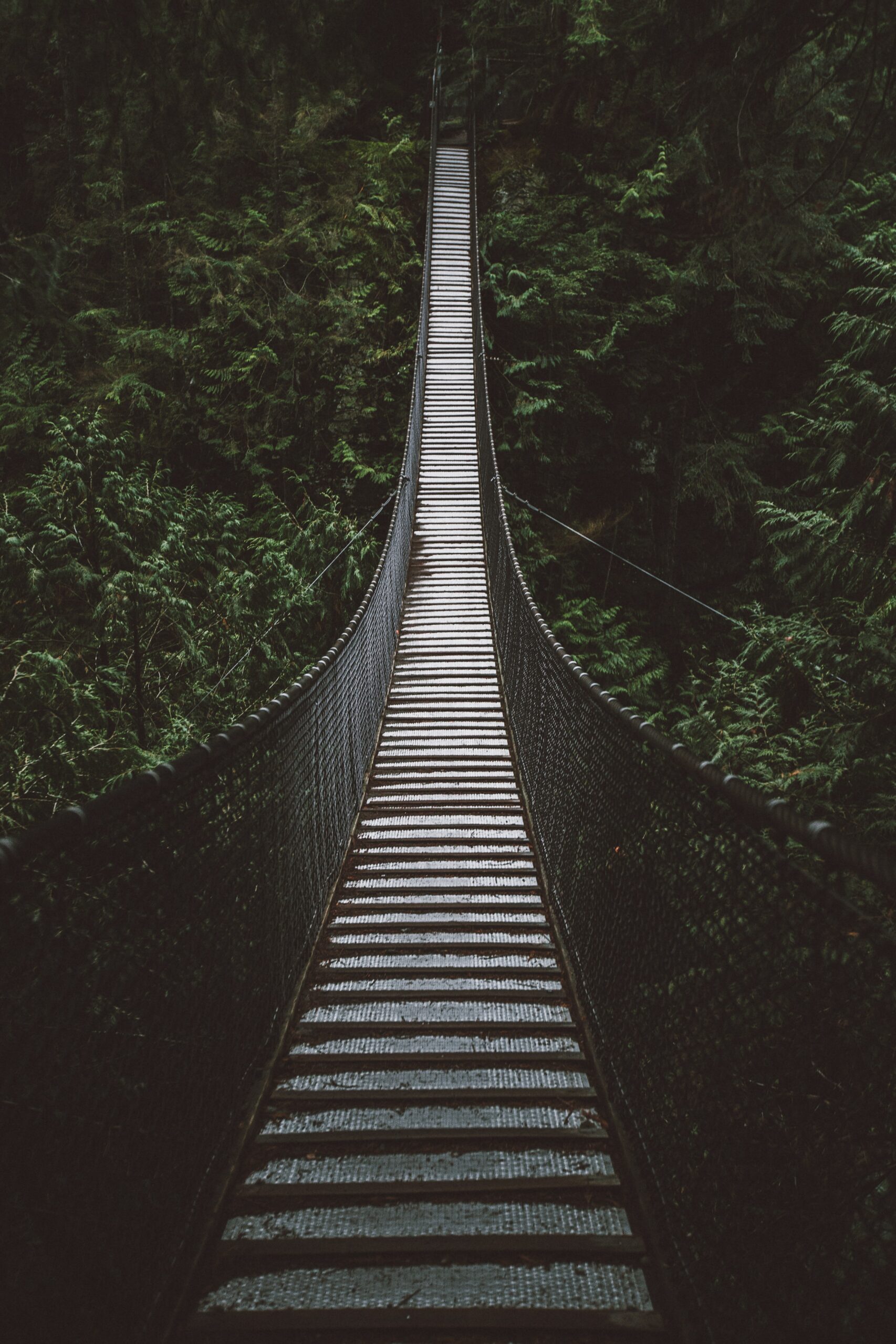 Seigneur, nous venons vers toi