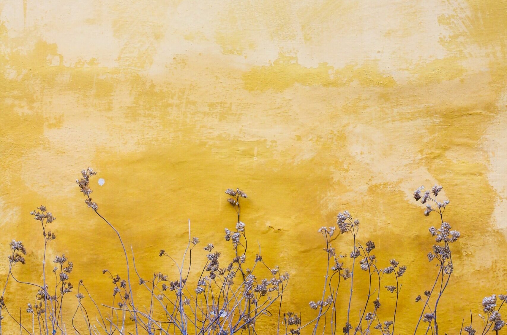 Nous venons dans ta présence