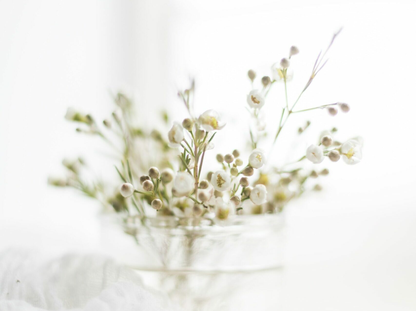 Je crois et j&rsquo;espère