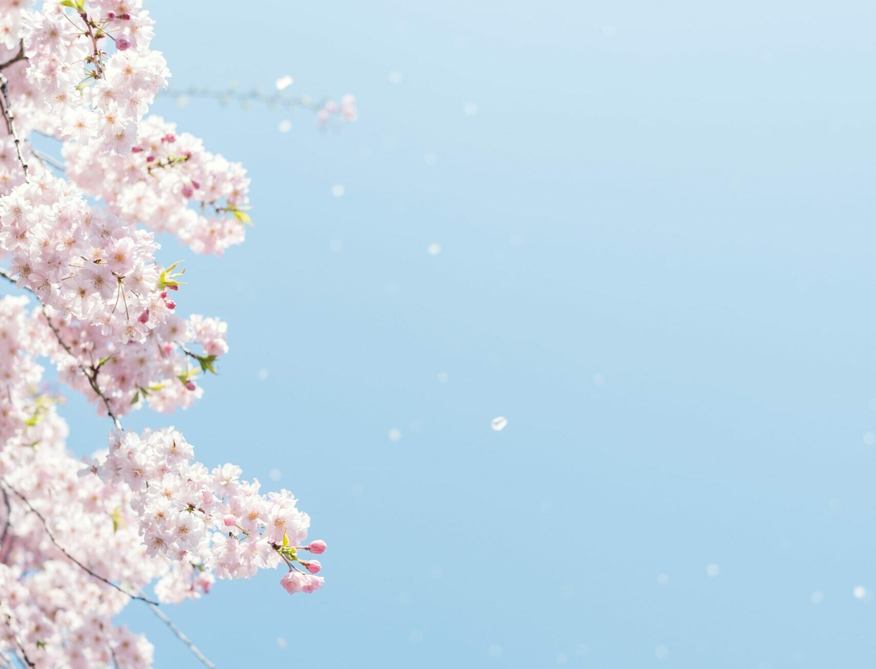 Souffle, souffle de Dieu